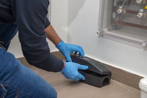 Rodent control for mice and rats in South Jersey homes